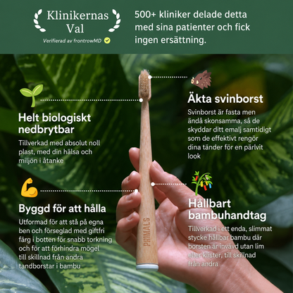 PRIMAL Tandborste Med Vildsvinsborst & Bambu