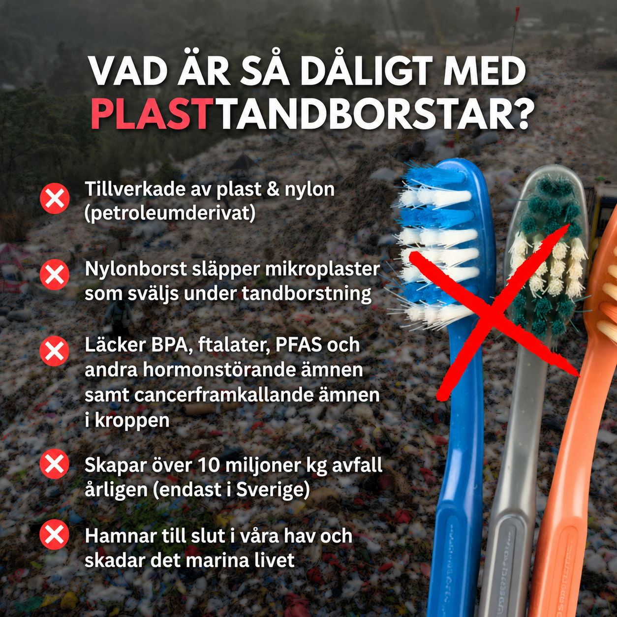 PRIMAL Tandborste Med Vildsvinsborst & Bambu