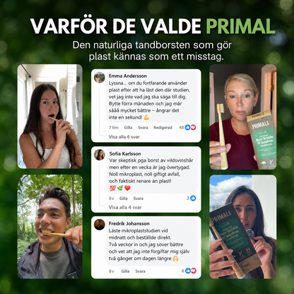 PRIMAL Tandborste Med Vildsvinsborst & Bambu